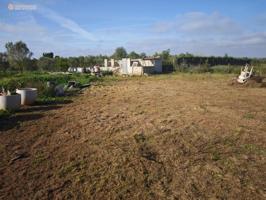 Terreno en venta en Felanitx, Felanitx centro photo 0