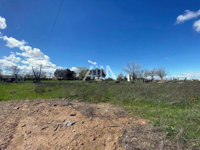 Chalet en venta en Membrilla, Membrilla photo 0