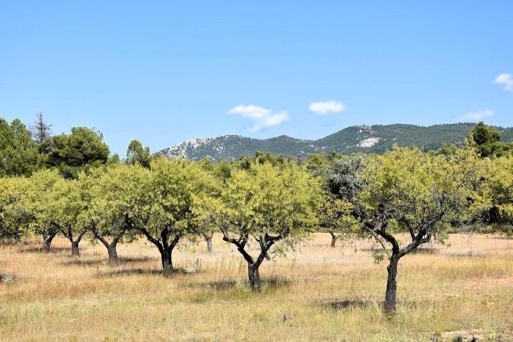 Chalet en venta en Fuentespalda, Aragon photo 0