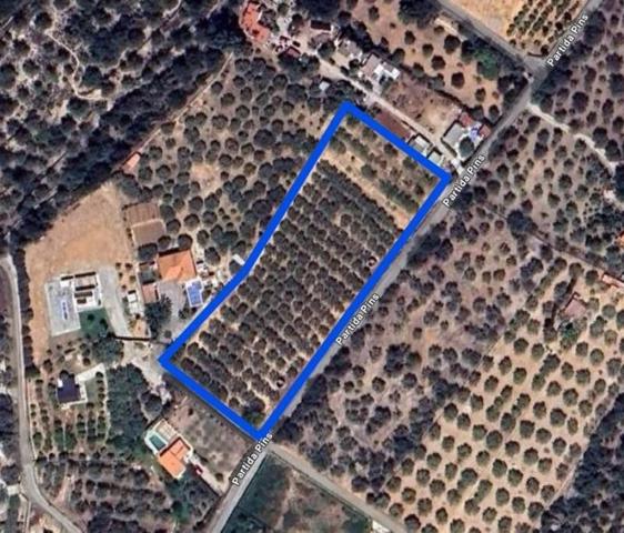 Terreno en venta en Masdenverge, Cataluna photo 0