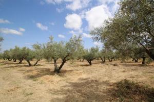 Terreno en venta en Las Gabias, Las Gabias photo 0