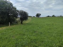 Chalet en venta en Villaviciosa, Carenes photo 0