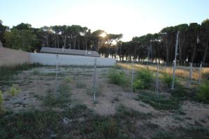 Terreno en venta en Ejea de los Caballeros, Bardenas photo 0