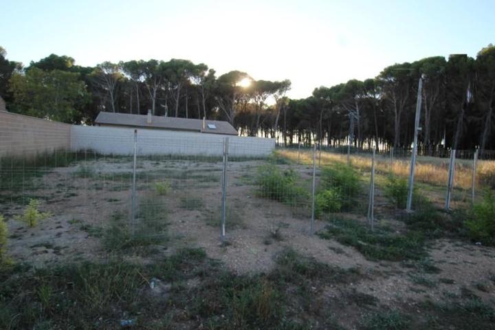 Terreno en venta en Ejea de los Caballeros, Bardenas photo 0