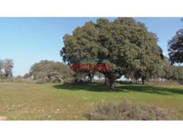 Chalet en venta en Valdehúncar photo 0