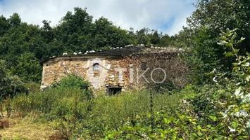 Casa en venta en Pesoz photo 0