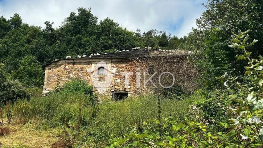 Casa en venta en Pesoz photo 0