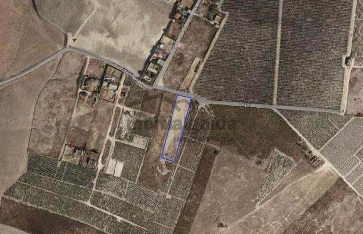Terreno en venta en Sanlúcar de Barrameda, Monte Olivete photo 0