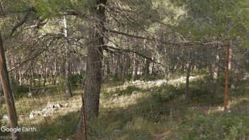 Terreno en venta en Canyelles, Les Palmeres photo 0