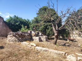 Terreno en venta en Ulldecona, Ulldecona photo 0