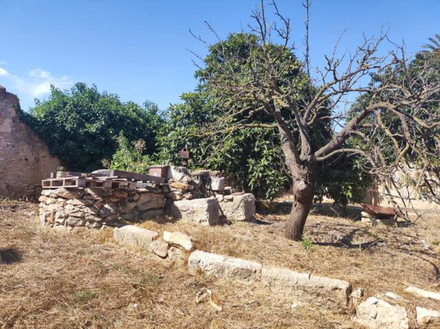 Terreno en venta en Ulldecona, Ulldecona photo 0