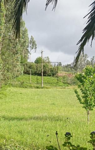 Terreno en venta en Cedeira, CEDEIRA photo 0