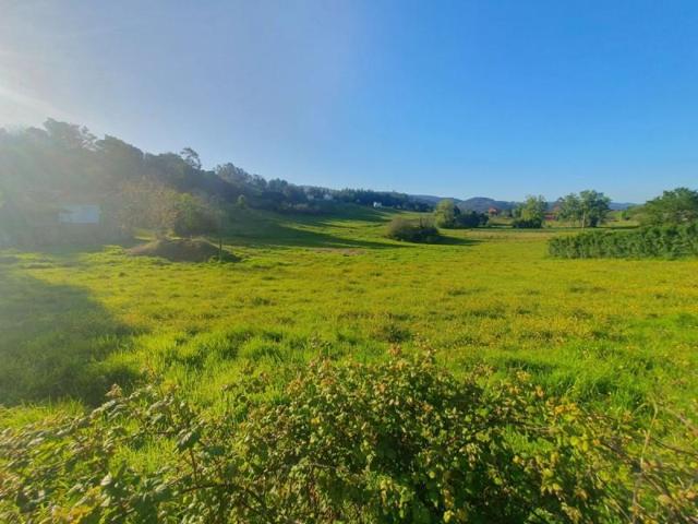 Terreno en venta en Salas, Cornellana photo 0