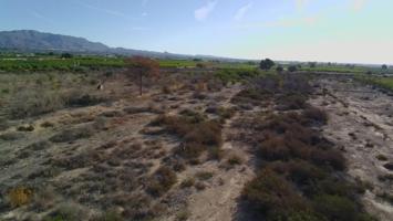 Terreno en venta en Albatera, ALBATERA photo 0