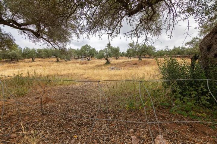 Chalet en venta en Cañaveral de León, Canaveral De Leon photo 0
