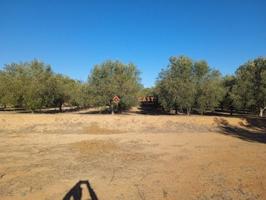 Terreno en venta en L'Olleria, Campo photo 0