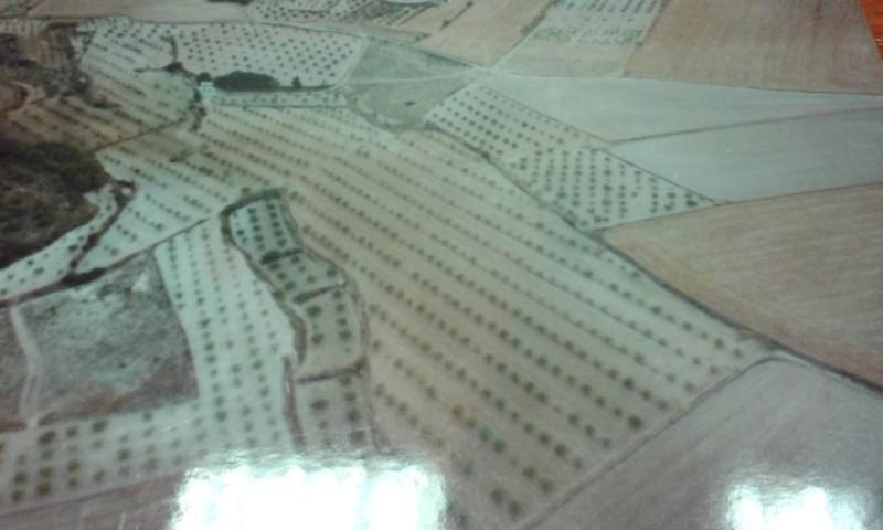 Terreno en venta en Almansa, Almansa photo 0