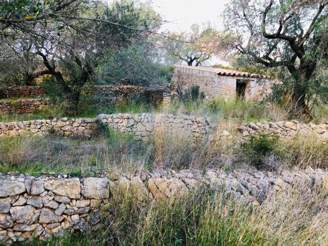 Casa con terreno en venta en Tortosa photo 0