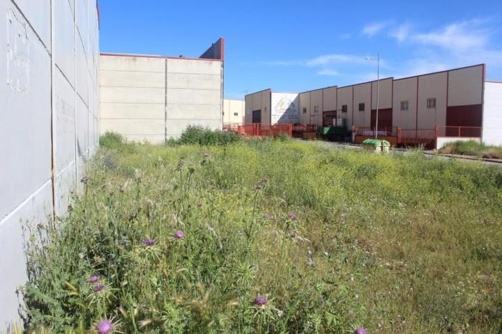 Terreno en venta en Escalonilla, Escalonilla photo 0