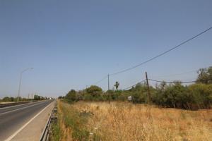 Terreno en venta en Llucmajor, Llucmajor (Campo) photo 0