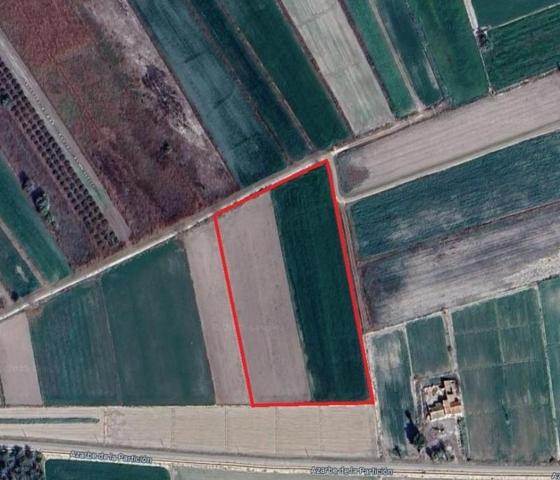 Terreno en venta en Crevillent, Crevillente photo 0