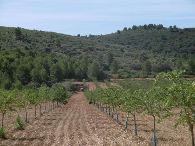 Terreno en venta en Vall d'Alba, La barona photo 0