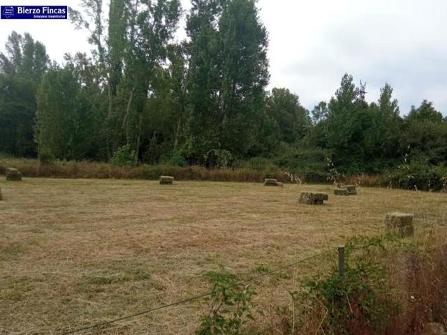 Terreno en venta en Ponferrada, Cuatrovientos photo 0