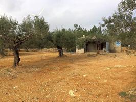 Terreno en venta en el Perelló, Burga, 43519 photo 0