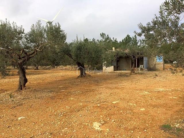 Terreno en venta en el Perelló, Burga, 43519 photo 0