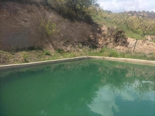 Casa con terreno en venta en Piñar photo 0