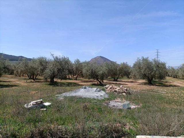 Chalet en venta en Albolote, OTRAS photo 0