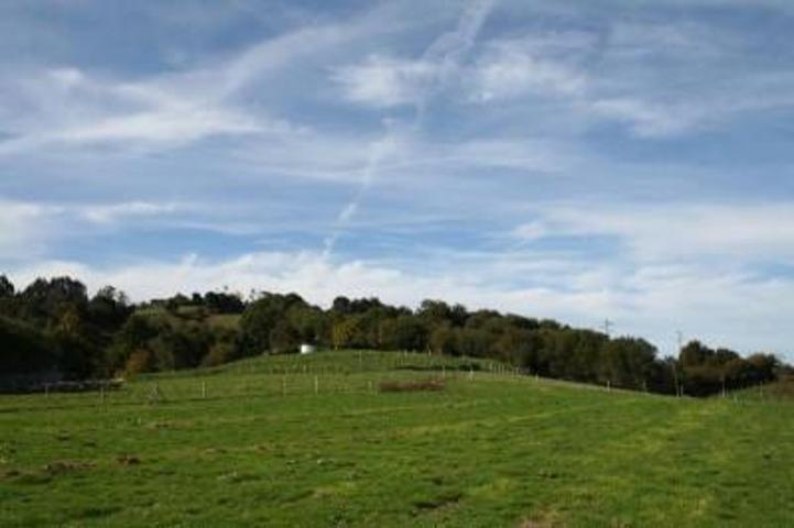 Terreno en venta en Valdáliga, Barrio Labarces, 39595 photo 0