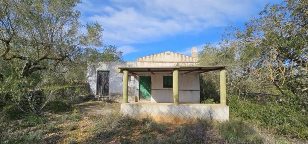 Chalet en venta en el Perelló, Afueras del pueblo photo 0