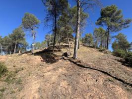 Terreno en venta en Fonollosa photo 0