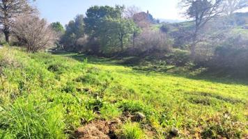 Terreno en venta en Villaescusa, OBREGON photo 0