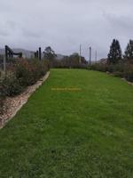 Terreno en venta en Pazos de Borbén, Galicia photo 0