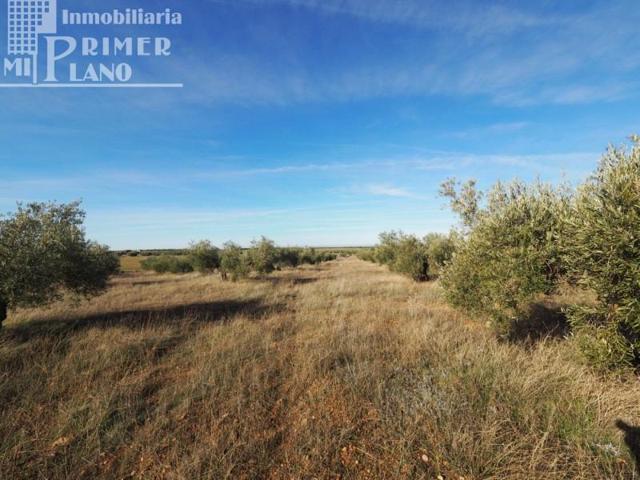 Terreno en venta en Tomelloso, Ctra. Ossa de Montiel photo 0