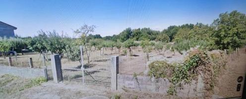 Terreno en venta en Amoeiro, Carretera amoeiro, 32170 photo 0