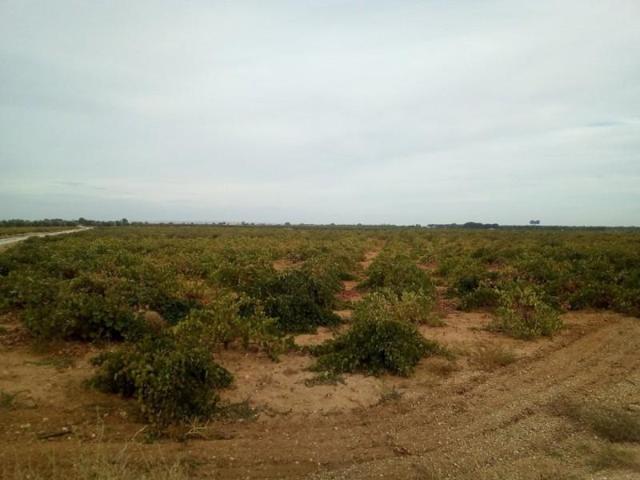 Chalet en venta en Socuéllamos, SOCUELAMOS photo 0