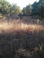 Terreno en venta en Soria, PEDRAJAS photo 0