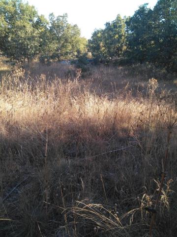 Terreno en venta en Soria, PEDRAJAS photo 0