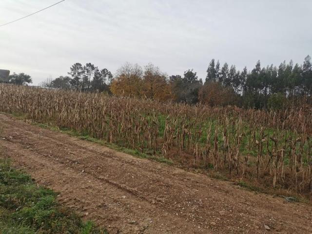 Terreno en venta en Carballo, SOFAN photo 0