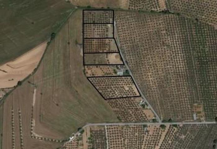 Chalet en venta en Albolote, Albolote photo 0