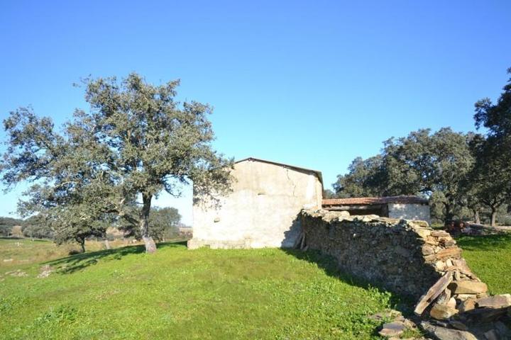 Terreno en venta en Malpartida de Plasencia, Afueras photo 0
