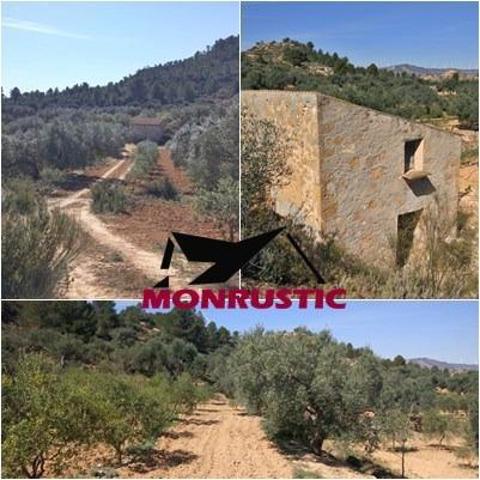 Terreno en venta en Riba-roja d'Ebre, Riba-roja photo 0