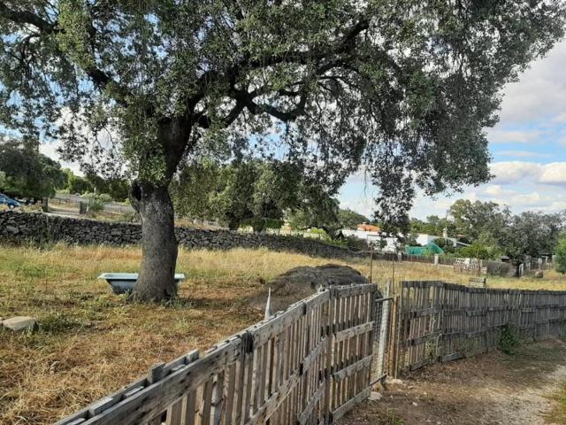 Terreno en venta en Casar de Cáceres, Asar De Caceres - Polígono Industrial photo 0