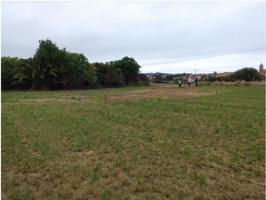 Terreno en venta en Ajo photo 0