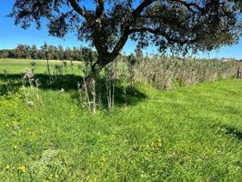 Terreno en venta en Vejer de la Frontera, Libreros photo 0