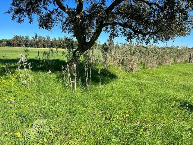 Terreno en venta en Vejer de la Frontera, Libreros photo 0