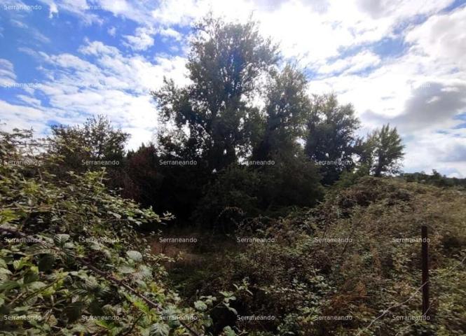 Terreno en venta en Aracena, Marines (Los) photo 0